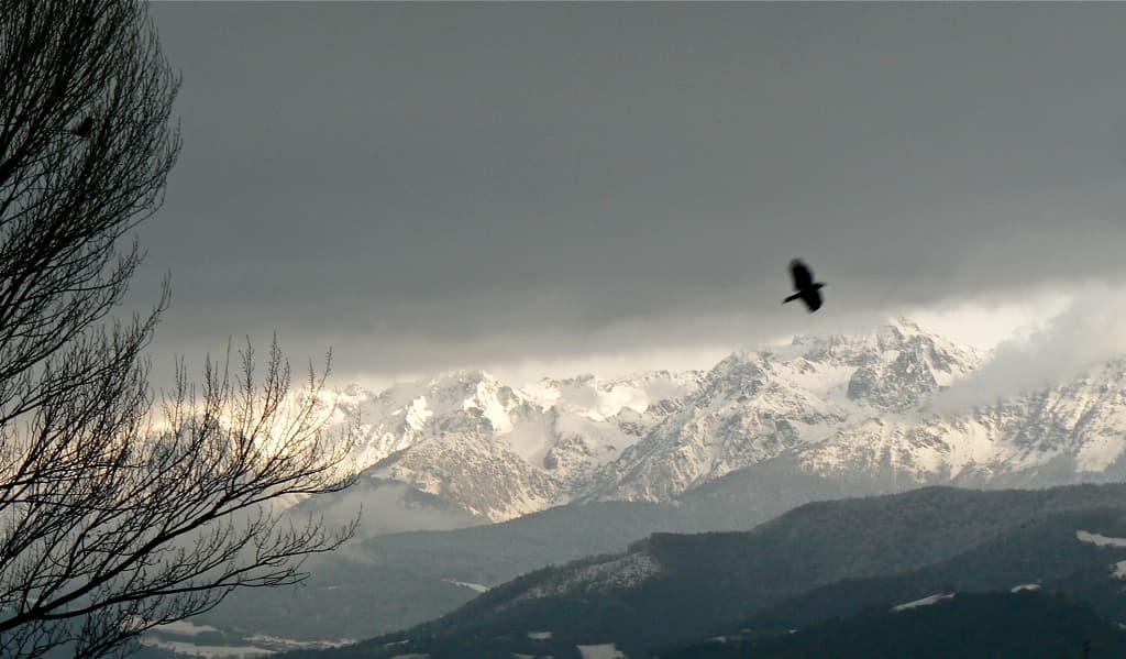 Ambiance hivernale avant l'heure