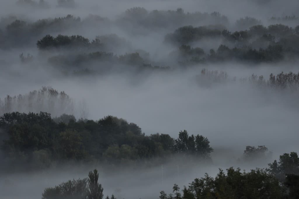 Brume automnale.