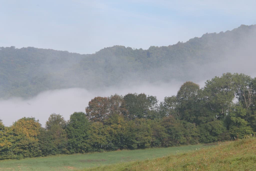 brume d'automne (EL)