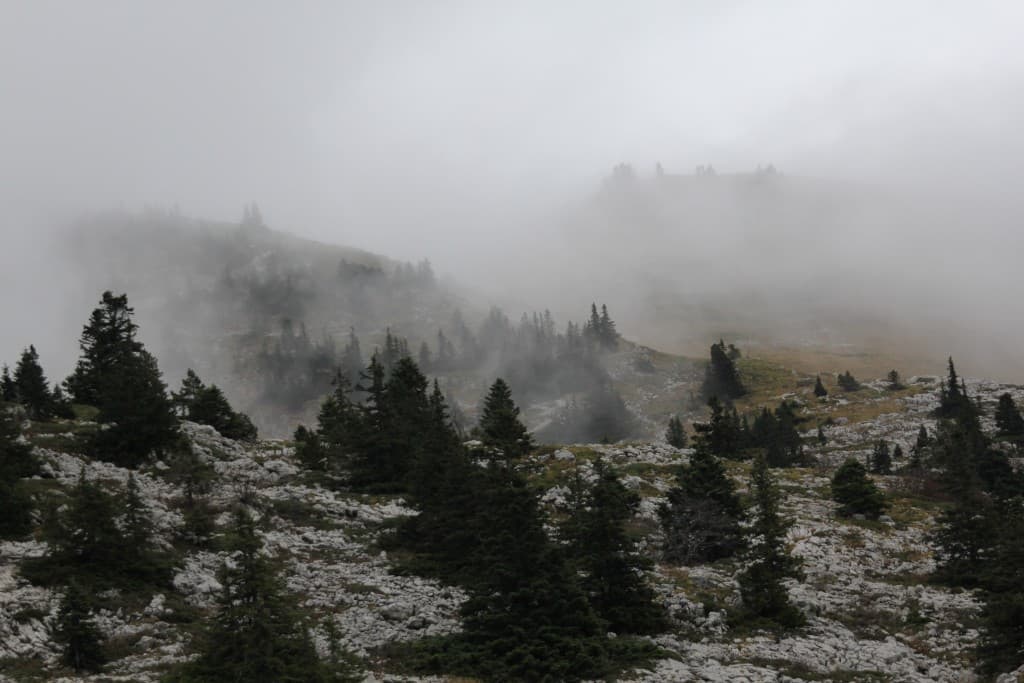 champ de brumes (phi)