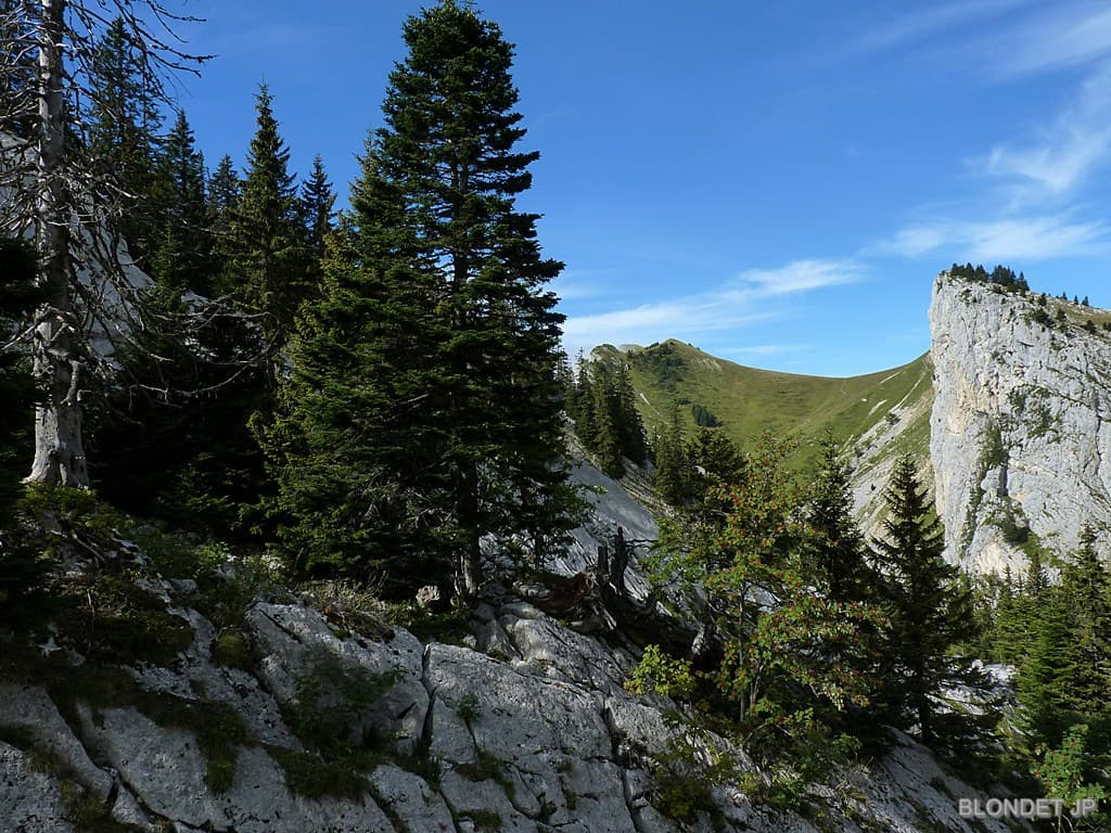 Col de Léchaud