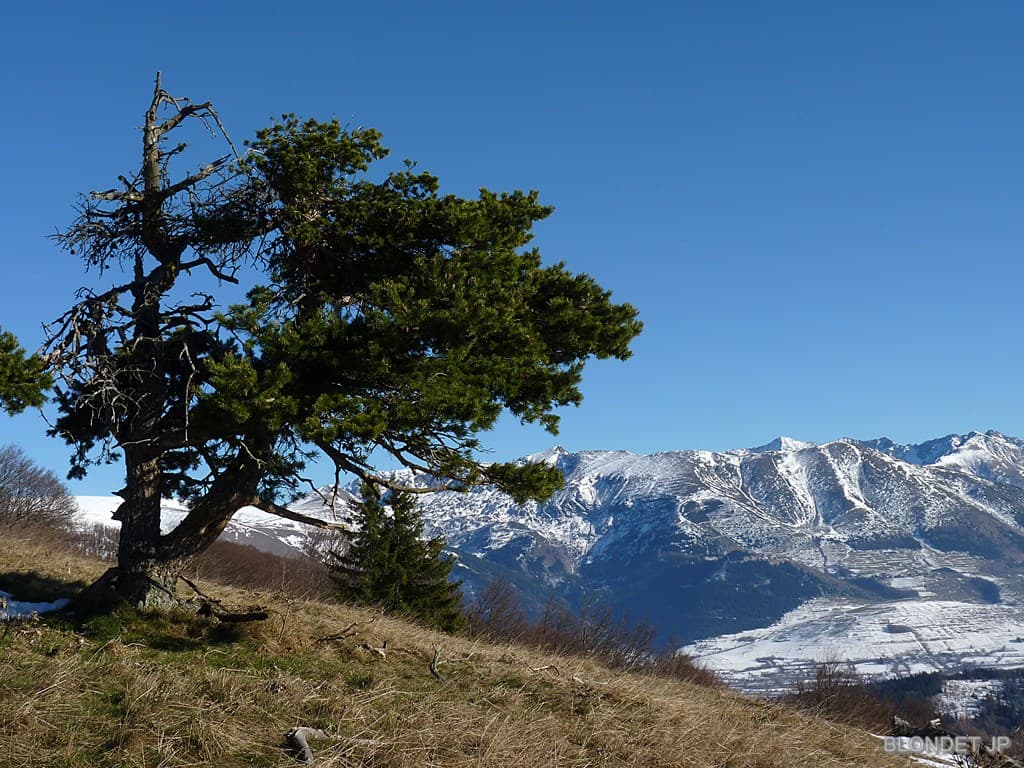 Descente sur Le Majeuil