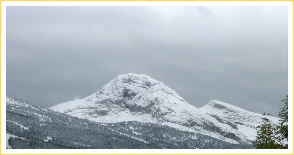 la Gde Moucherolle en habit d'hiver