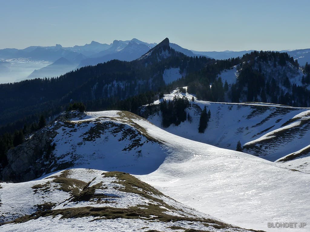 La Pinéa et le Vercors