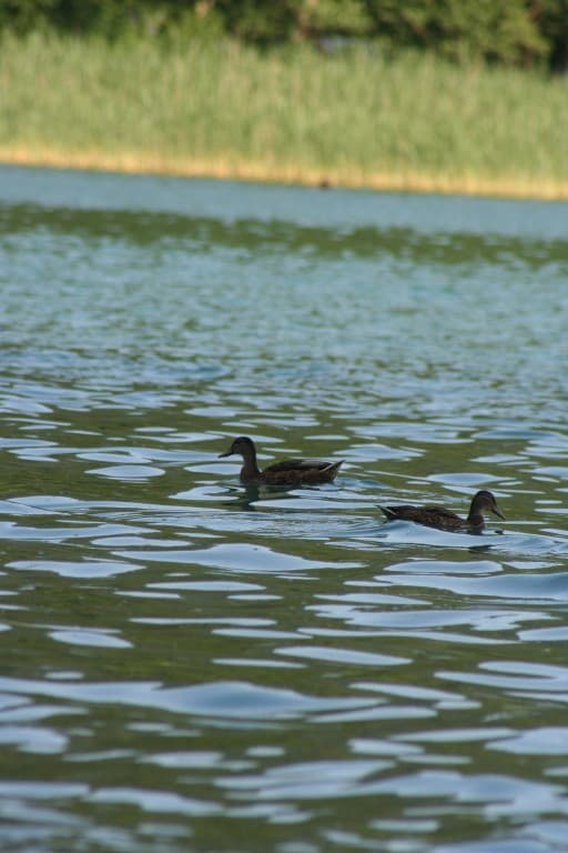 lac de laffrey