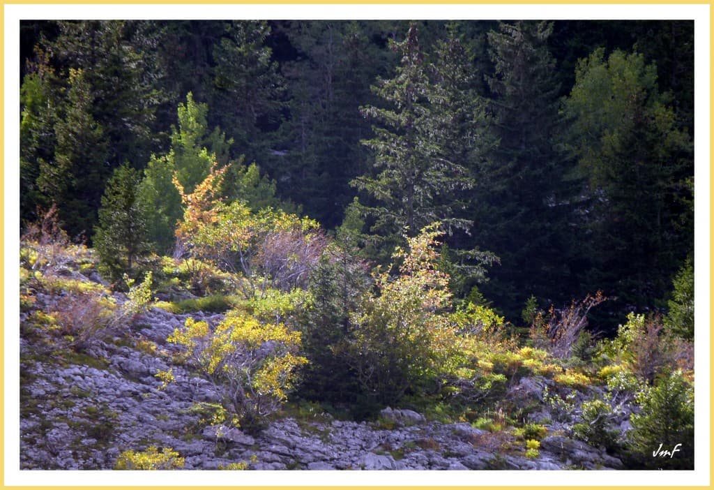les couleurs commencent à virer