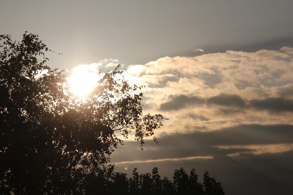 Lumière matinale (EL)
