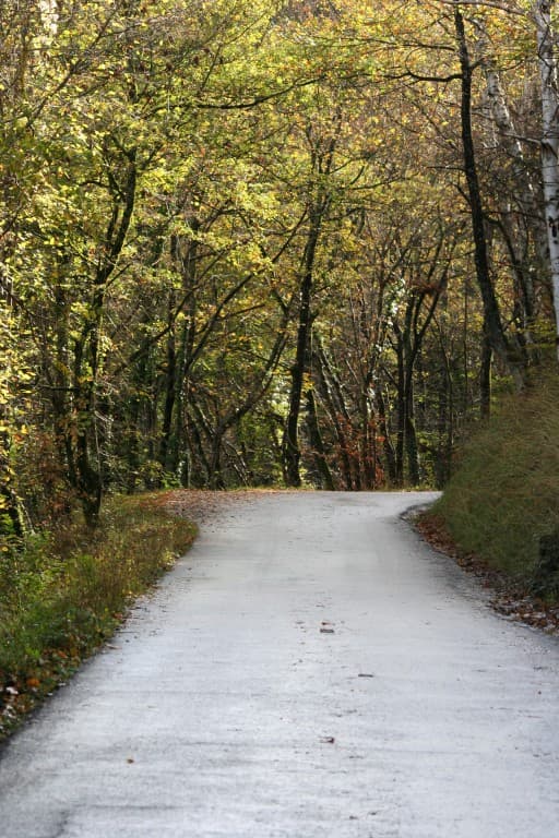Route d'automne(N.M)