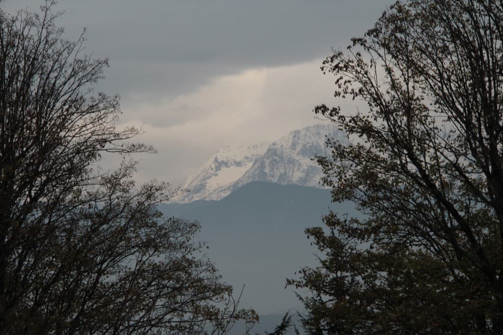 Temps tout gris,mais journée heureuse (EL)