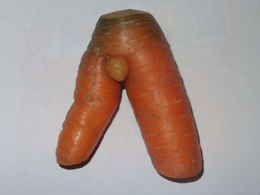 UNE CAROTTE execptionnelleet Naturelle