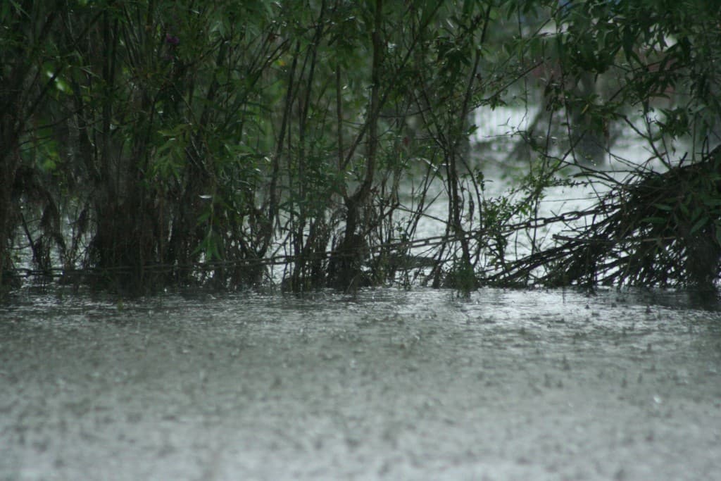 Une journée bien pluivieuse(N.M)