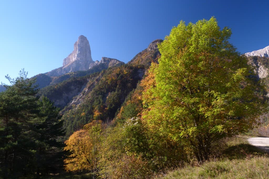 automne au pied du Mt Aiguille