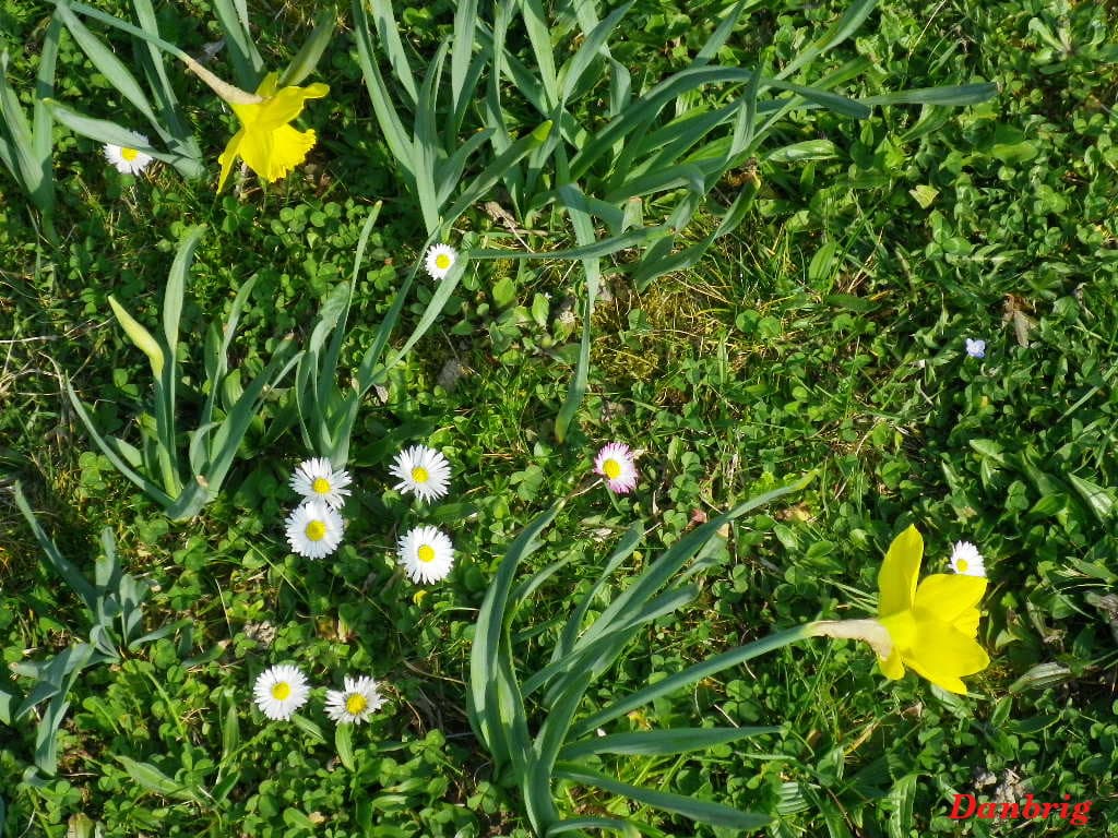 Bientôt les parfums subtils de la floraison !!