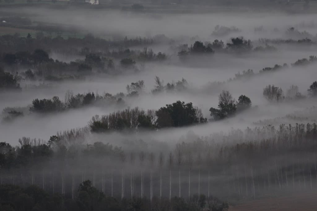 Brume automnale.
