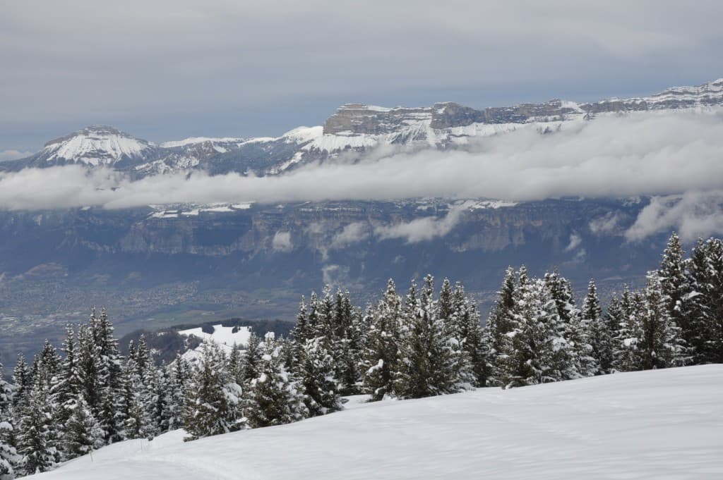 Chartreuse grise !!!! mais belle!!!!