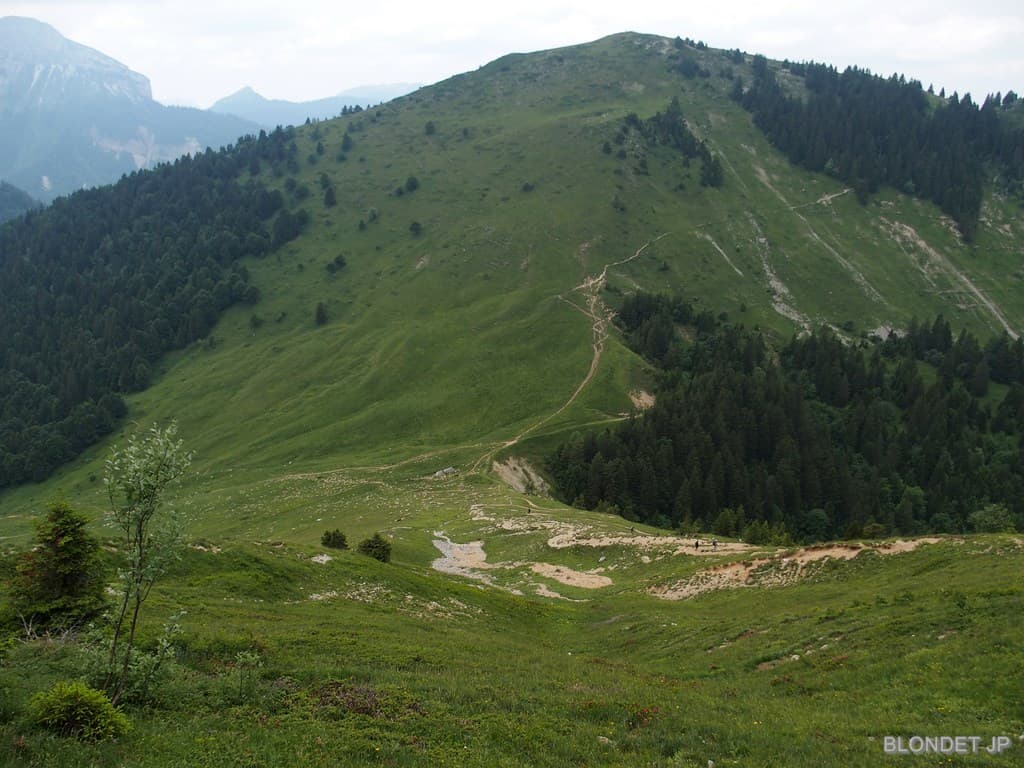 Col des Ayes et ses moutons