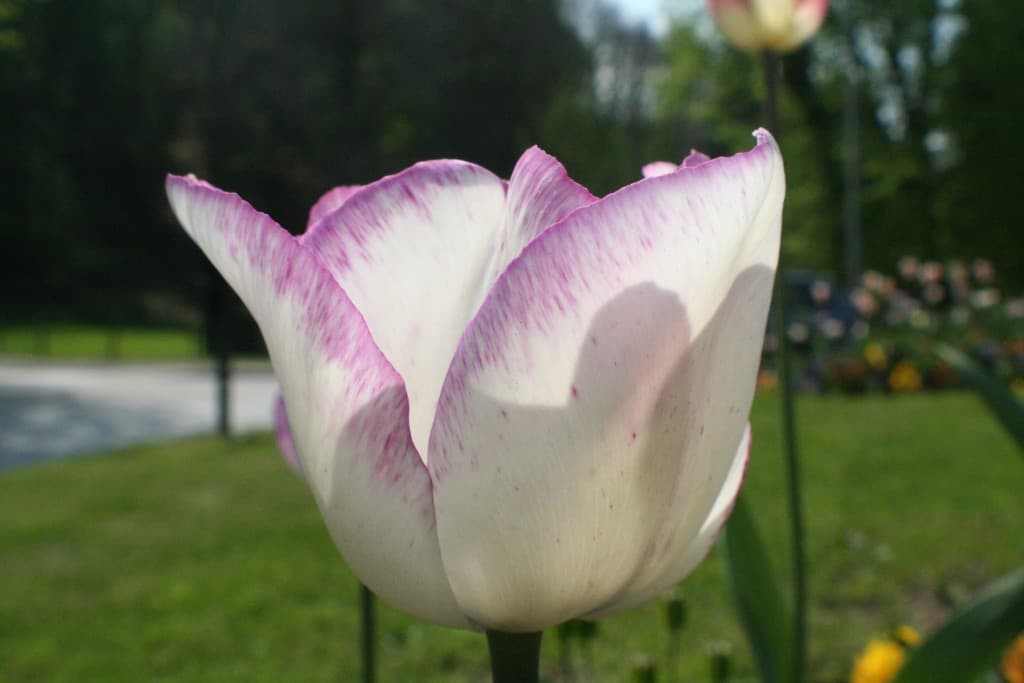 D'ombre et de lumiere