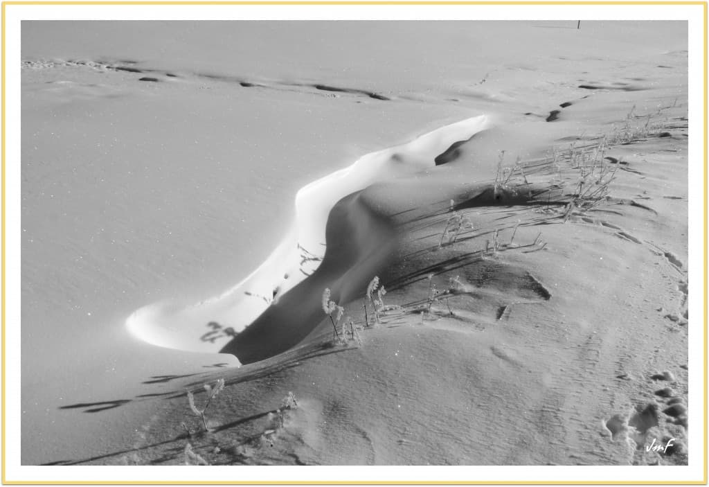 graphisme hivernal