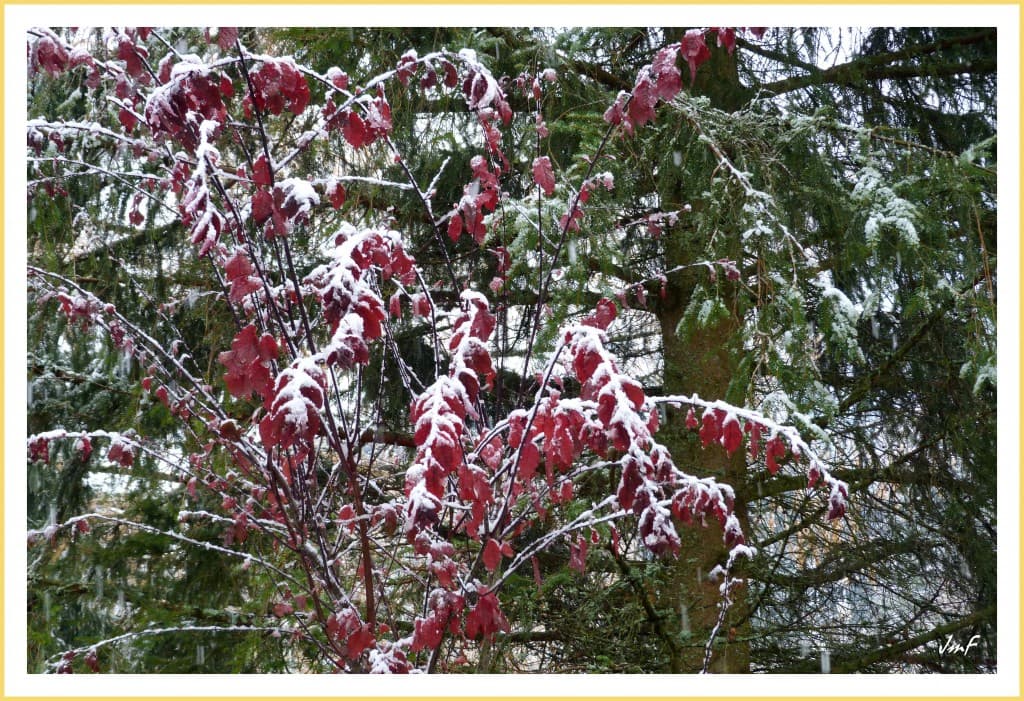 il neige sur l'automne...