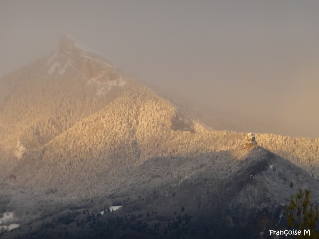 La Chartreuse couverte de blanc