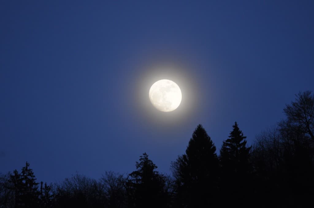 La lune prend sa place !!!