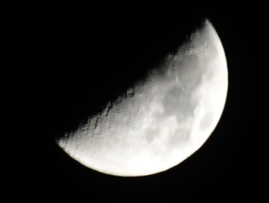 MADAME LA LUNE
