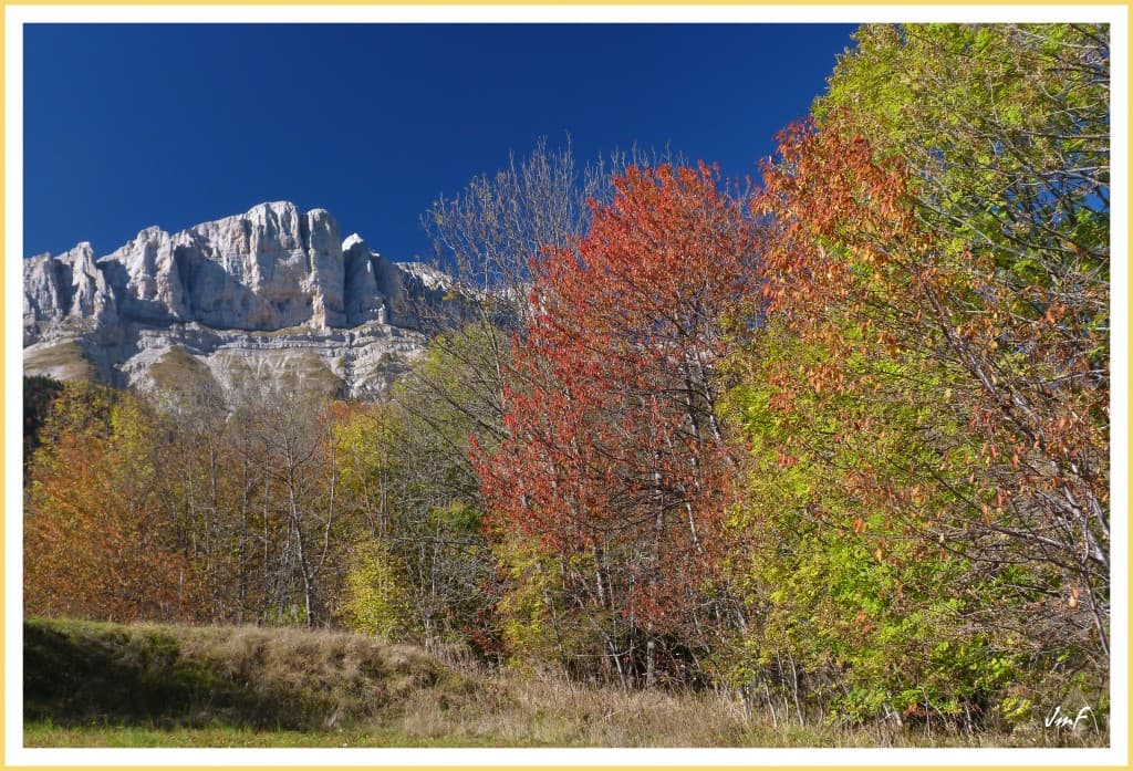 magnifique automne 