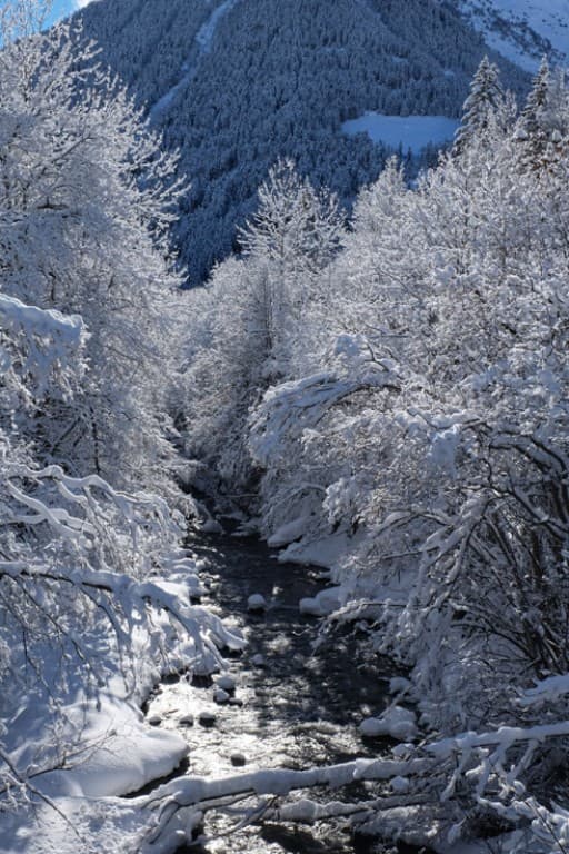 Neige fraiche
