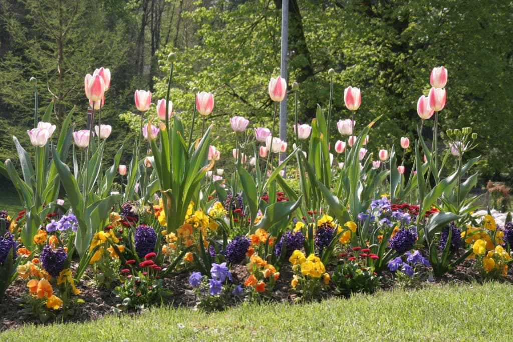 Quelles beau bouquet!!!(N.M)