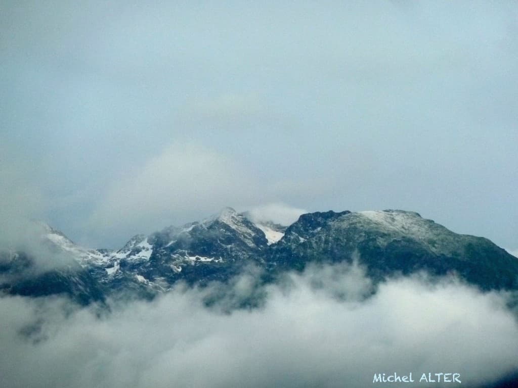 Saupoudrage neigeux