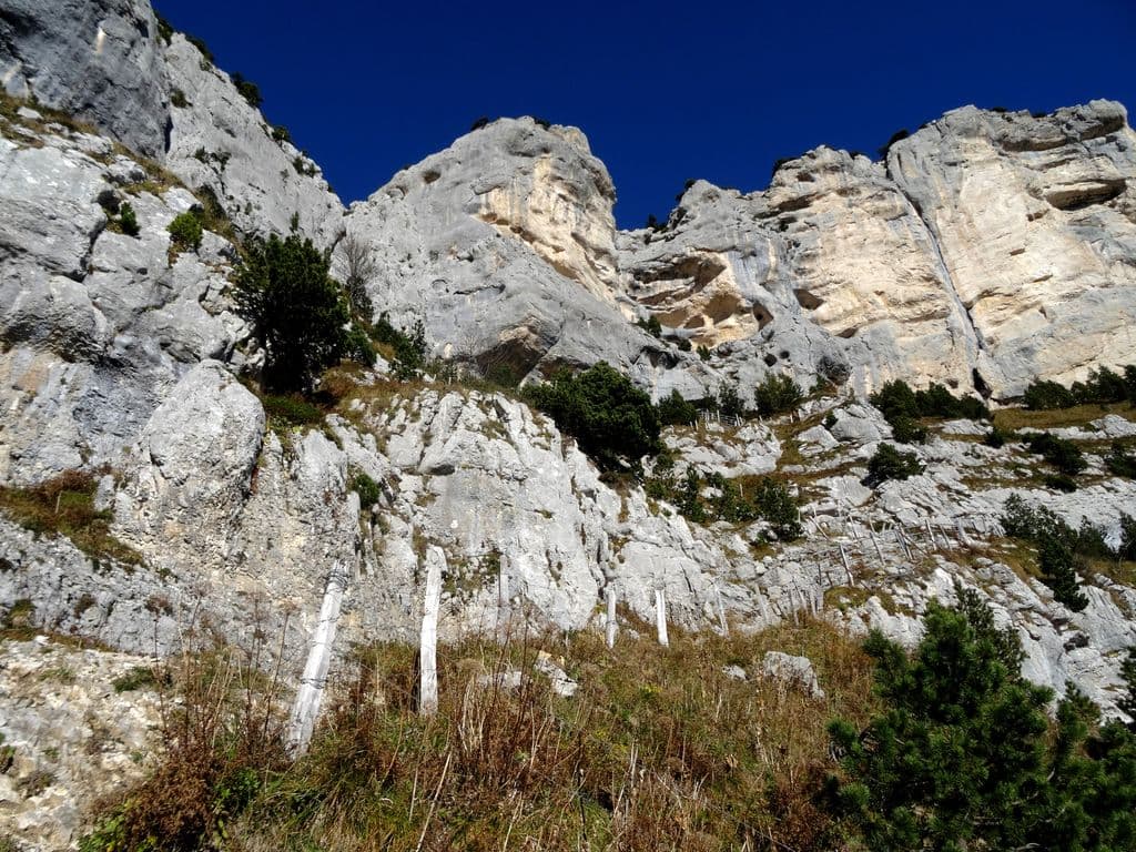 Sentier en Chartreuse