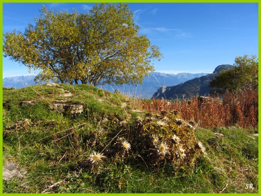 Temps superbe en montagne