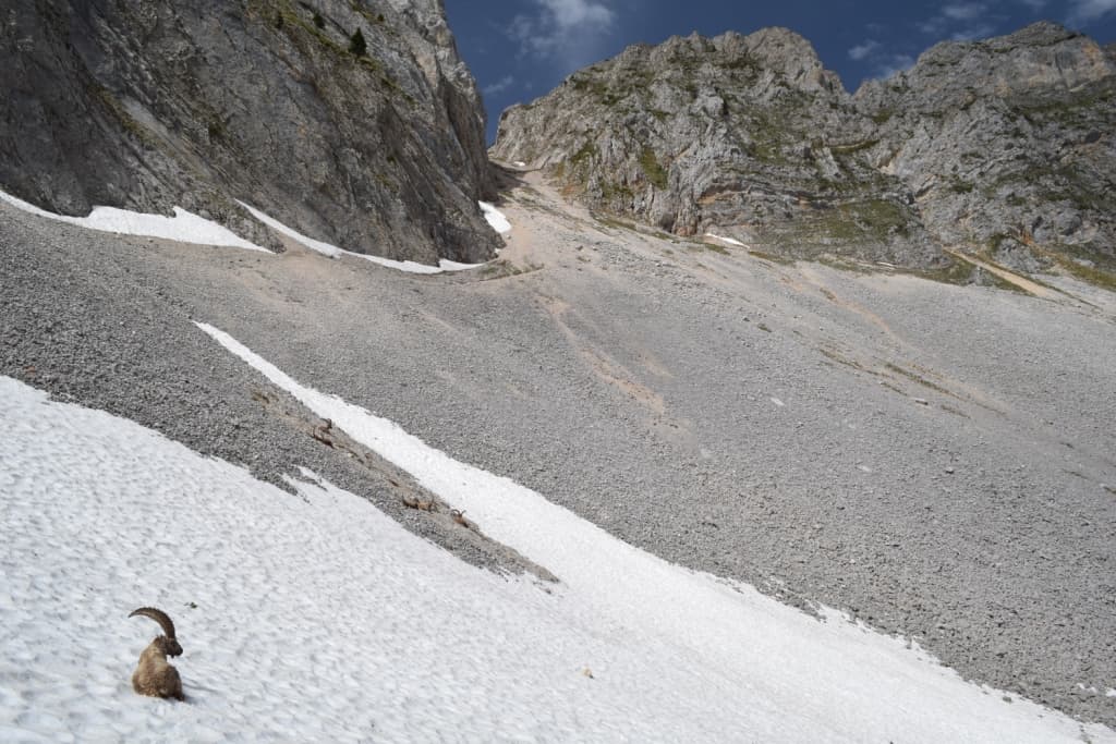 Col de Brévières- Vercors