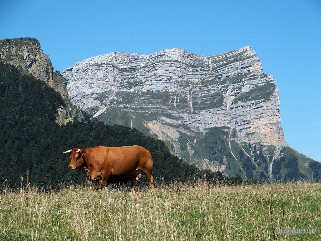 Emeindras et Dent de Crolles
