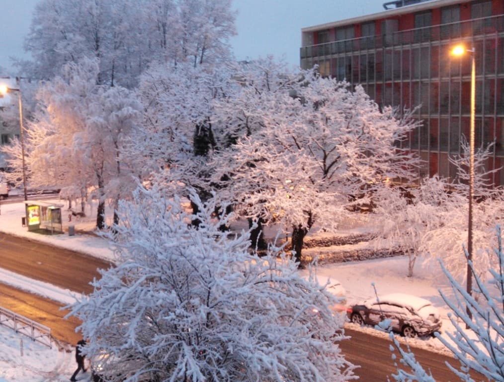Grenoble, 10-15 cm ce matin.