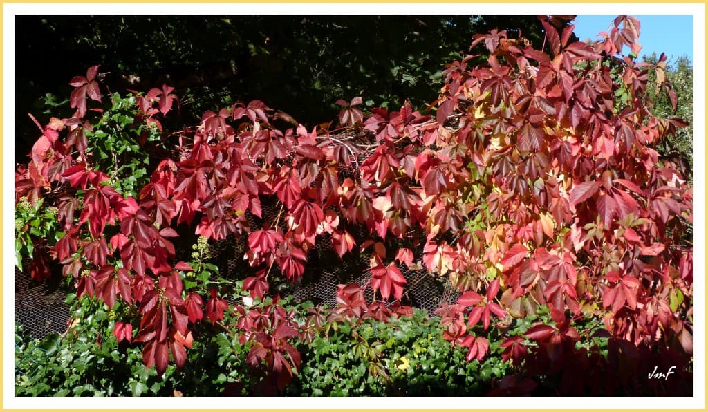 l'automne est bien là
