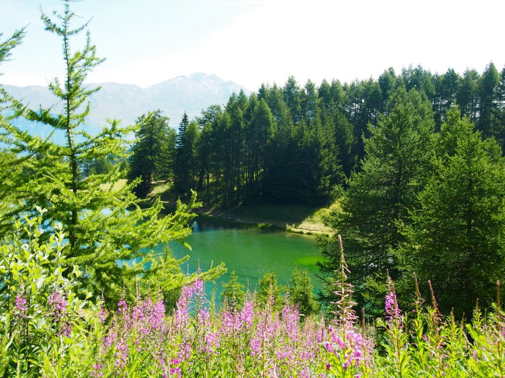 Lac de Pramol