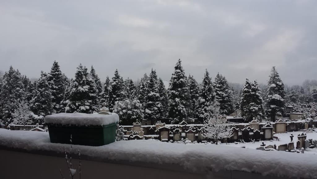 Neige à Grenoble 10/15 cm