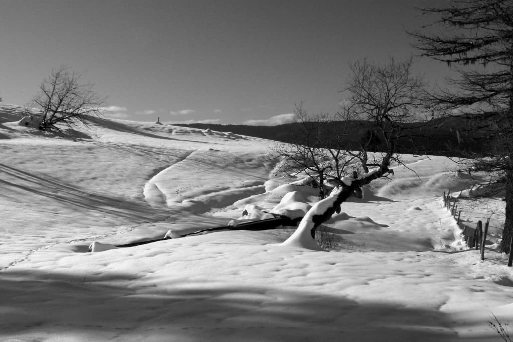 neige et soleil à Roybon