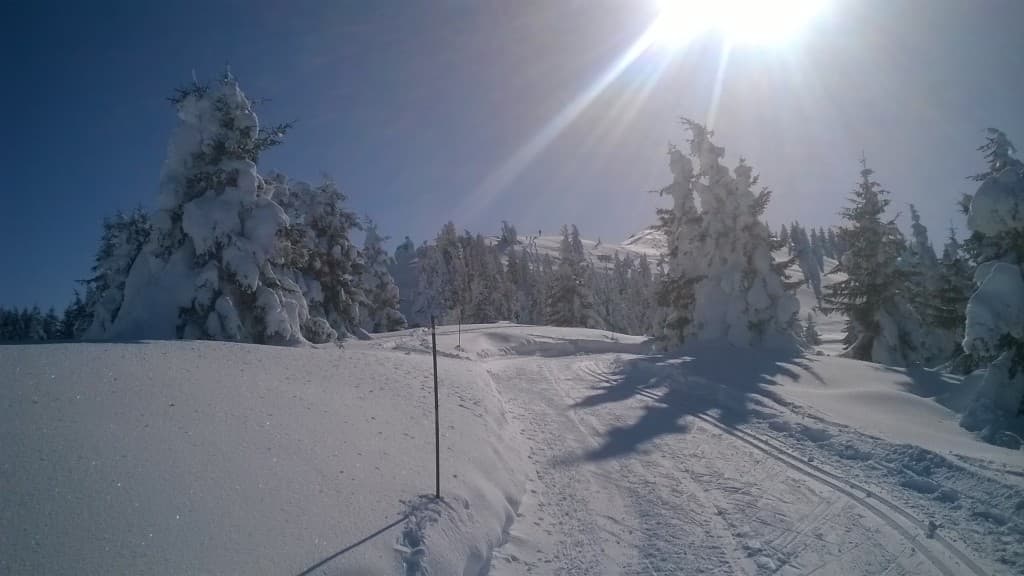Piste fond Crêt du poulet