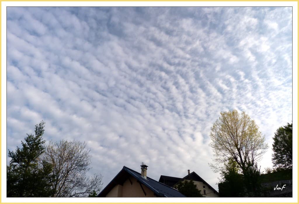 banc de cirrocumulus flocus