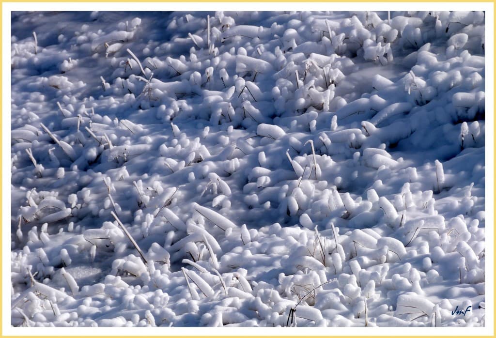 herbe glacée par les enneigeurs