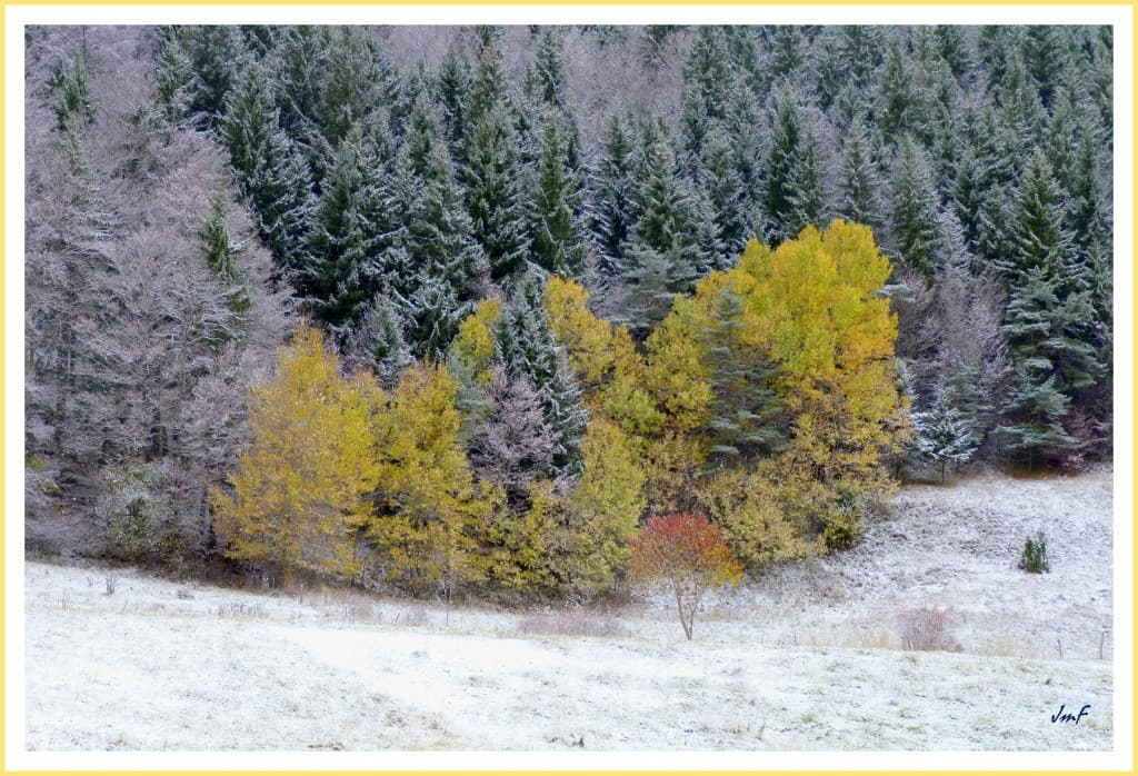 l'hiver sur l'automne