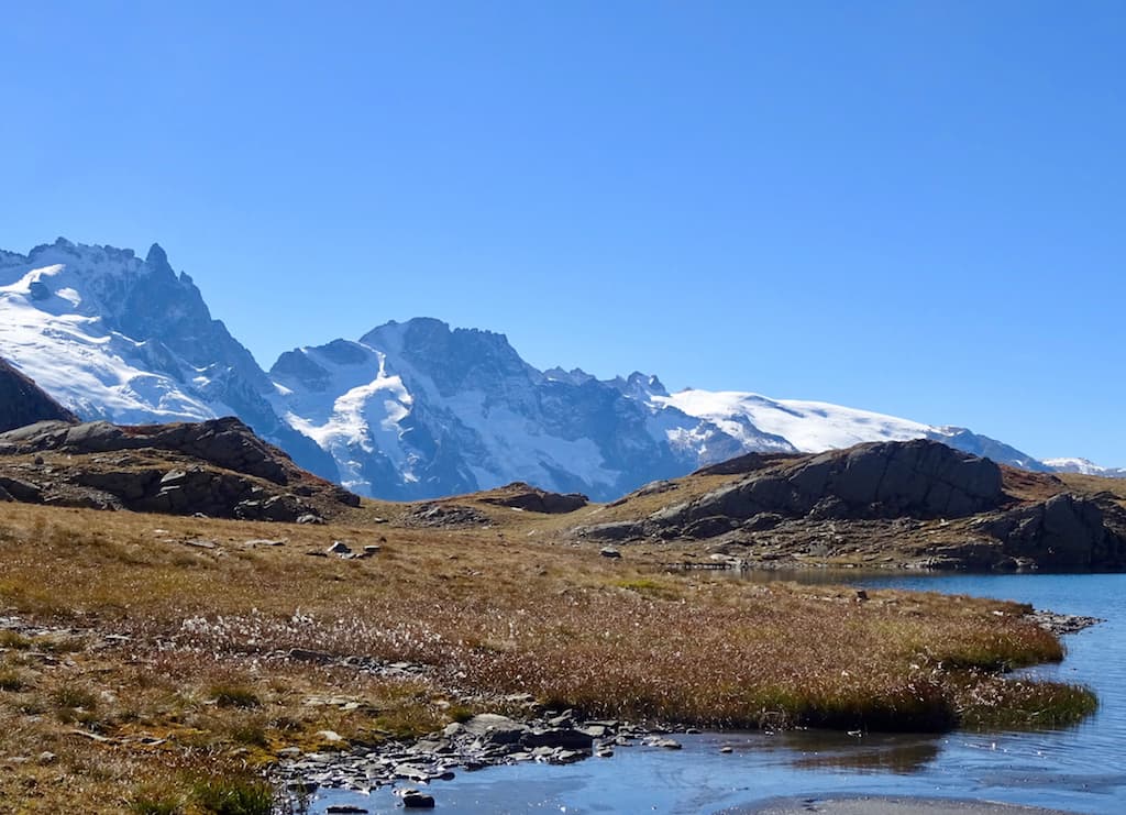 Linaigrettes au lac du Goléon