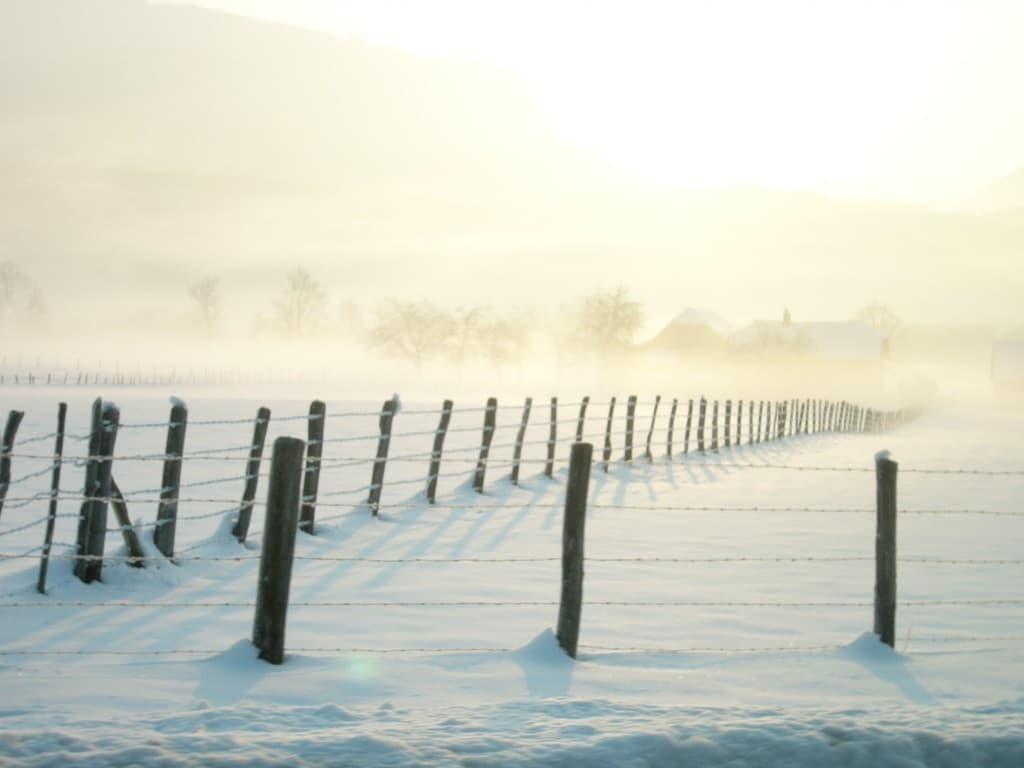 matin froid