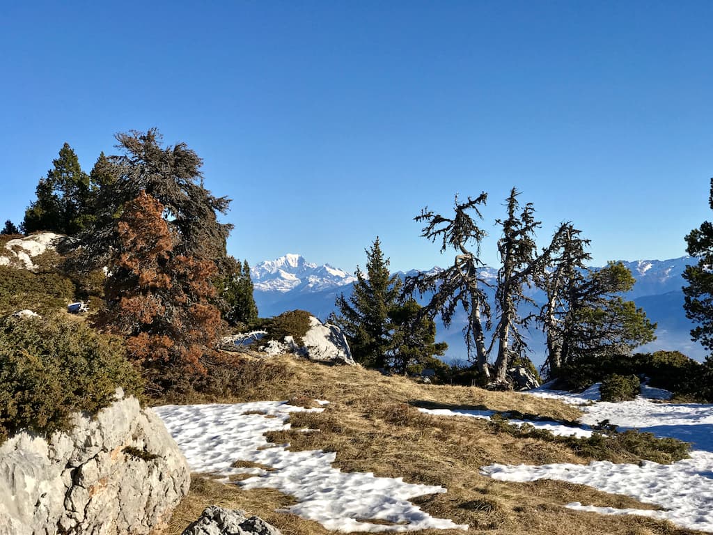 Mont Blanc depuis les belles ombres