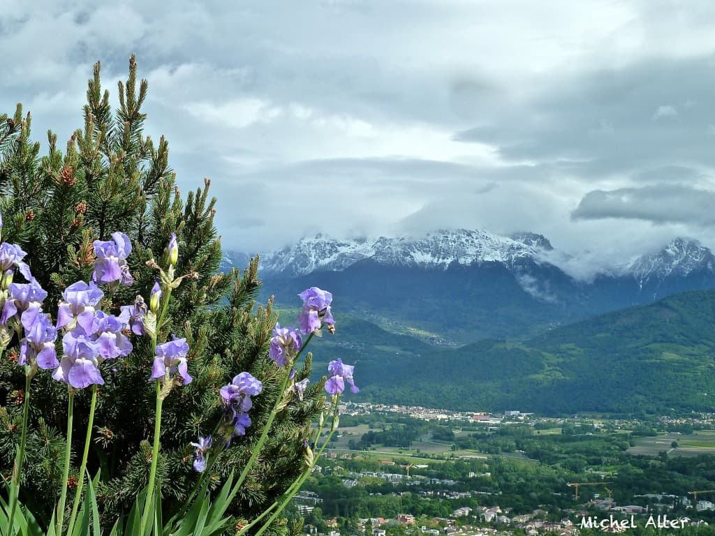 Neige tardive...