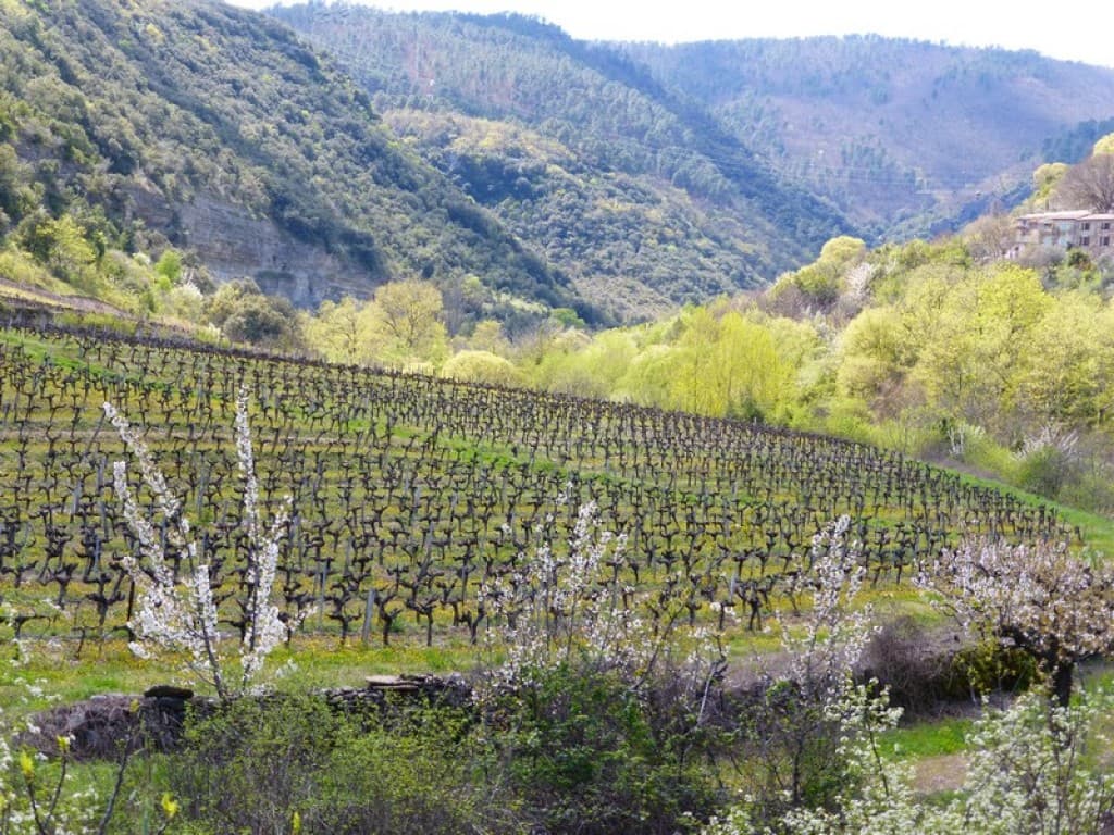 printemps à Naves ardèche du sud