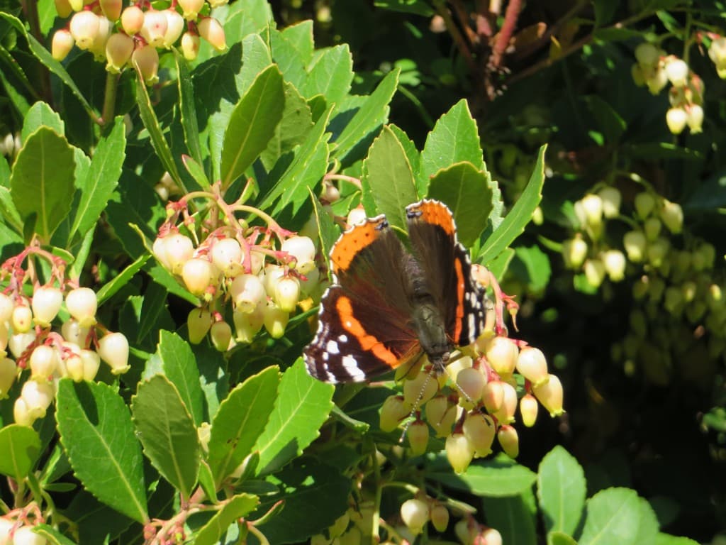 signes d'un printemps qui arrive