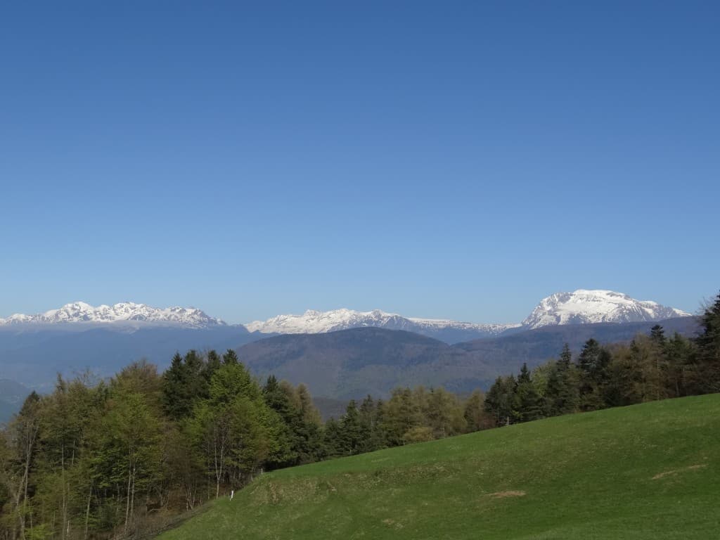 un peu de blanc